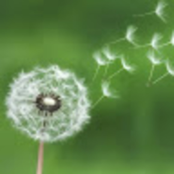 Meet your Posher, Jess - Picture 1 of 1